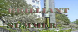 brilliantsummer