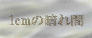 1cm̐
