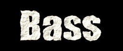 Bass
